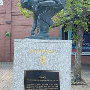 Meet your Posher, Leonel